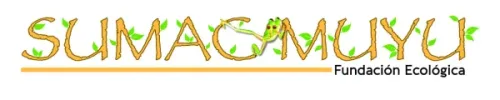 logo bigal sello 2025